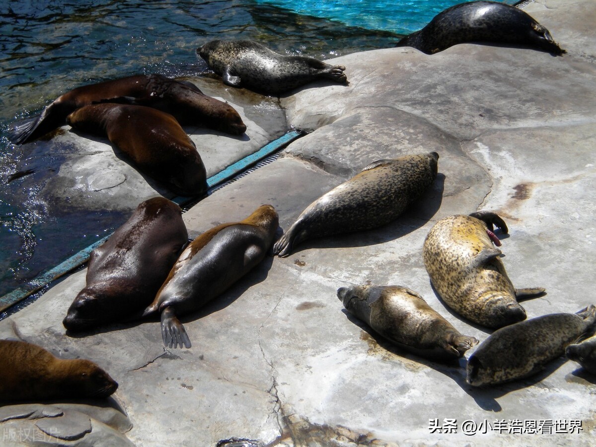 辽宁最值得去的十个景点,辽宁必去十大景点有哪些