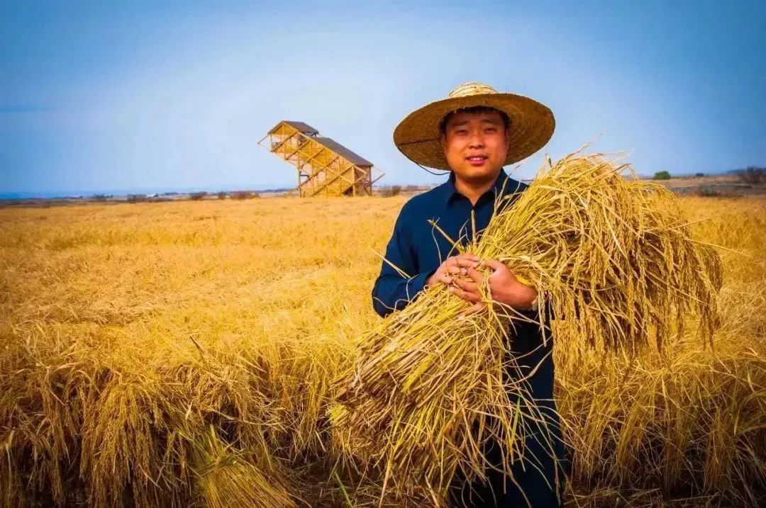 浅谈对乡村振兴产业发展的看法,乡村振兴产业发展的10大模式