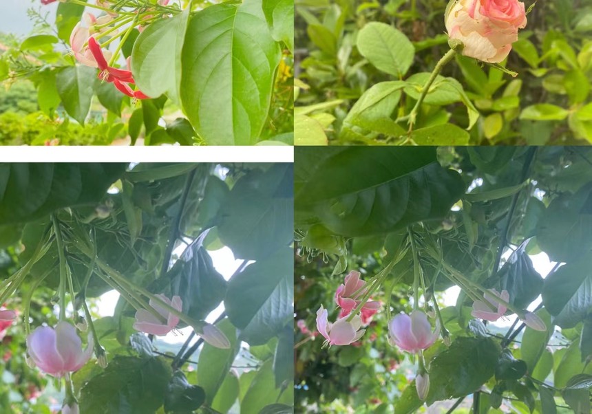 春季农家乐值得推荐,野炊农家乐哪家比较有特色