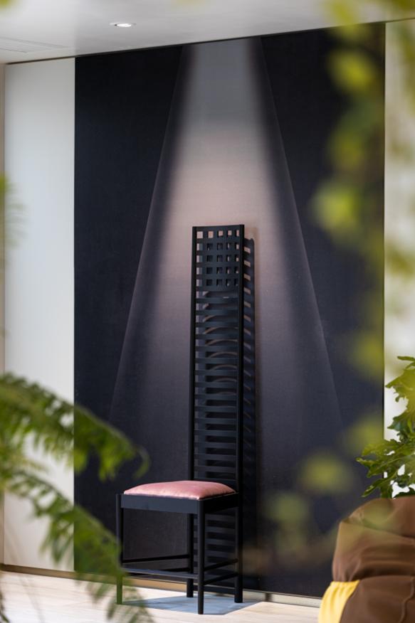 在野外露营生活日常,每天都在深山老林记录生活