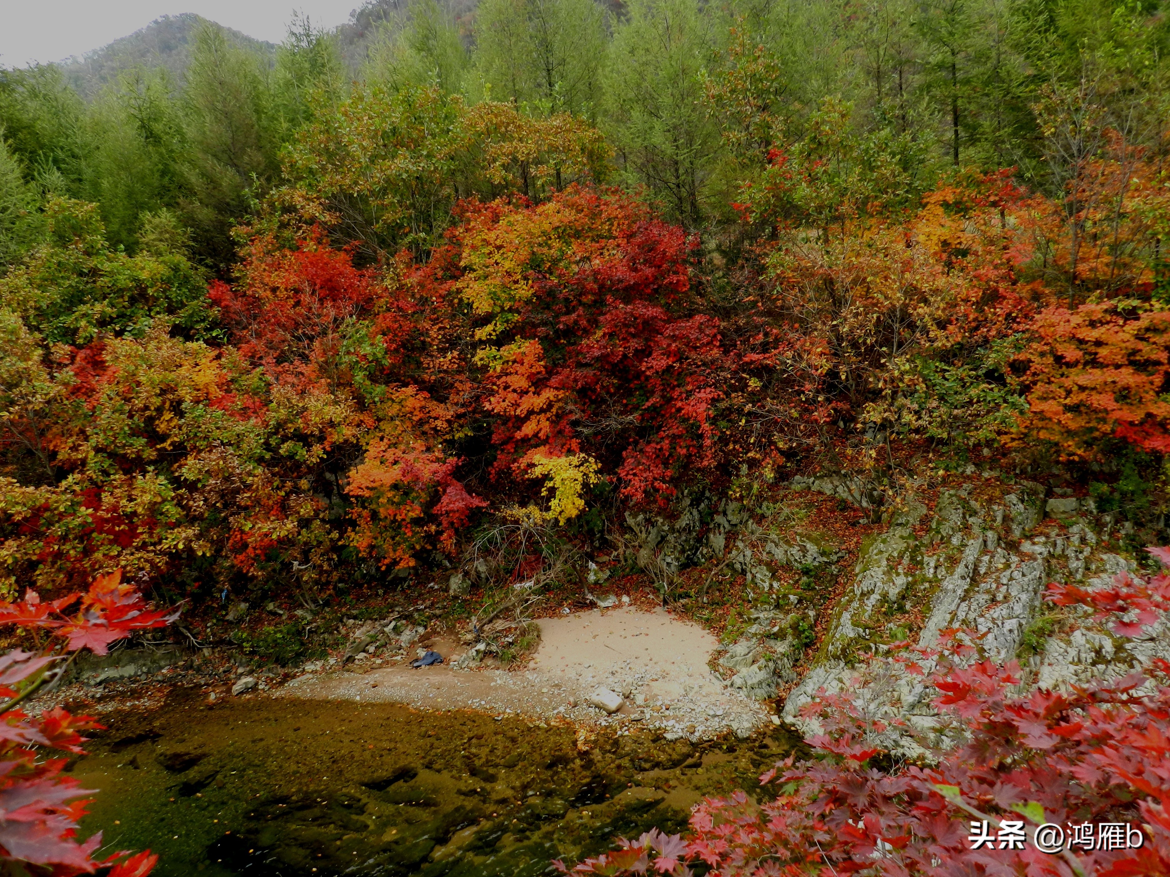 本溪温泉汤沟门票价格,本溪花溪沐枫雪温泉小镇