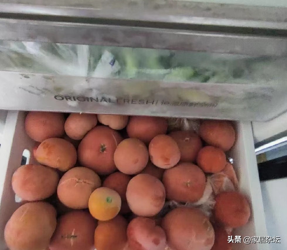 冰柜有没有必要买质量好的,为什么内行人建议买冰柜