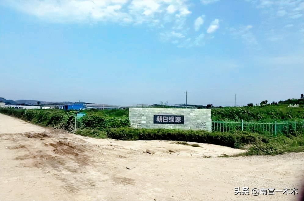 日本人租山东1500亩地赚钱了吗,日本人在山东租地1500亩闲置5年