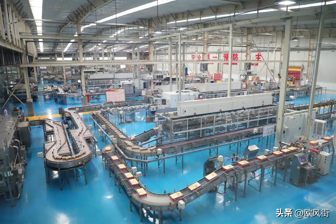 非凡十年奋进大湾区,非凡十年焕新启航