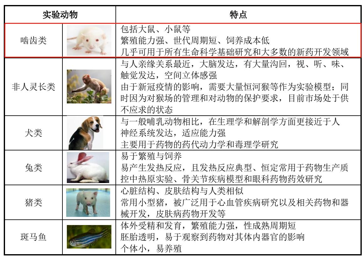 一只小白鼠多少钱,一只小白鼠要多少钱