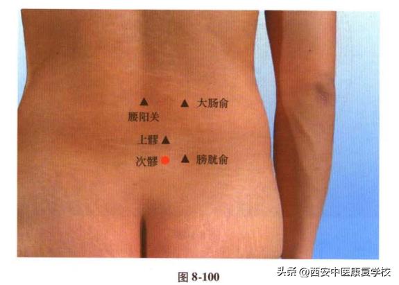 足太阳膀胱经上的穴位,足太阳膀胱经募穴