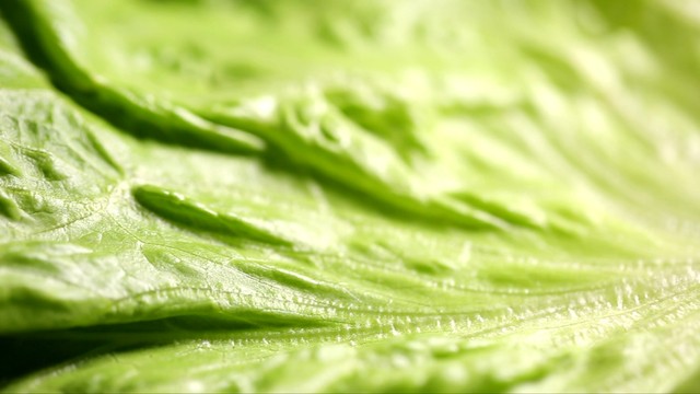 海底捞8块钱生菜，仅两片菜叶，女子疯狂吐槽，上热搜