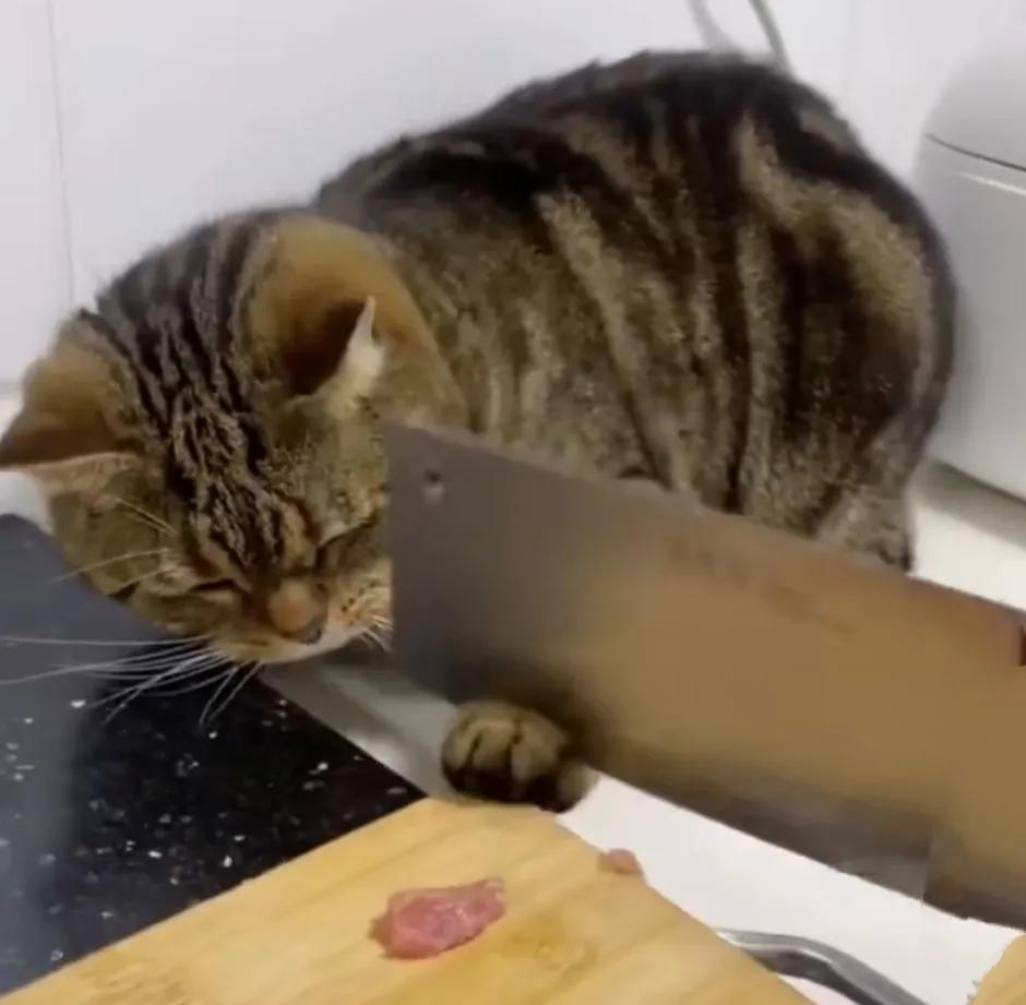 中信国安st原因,st国安深度解析