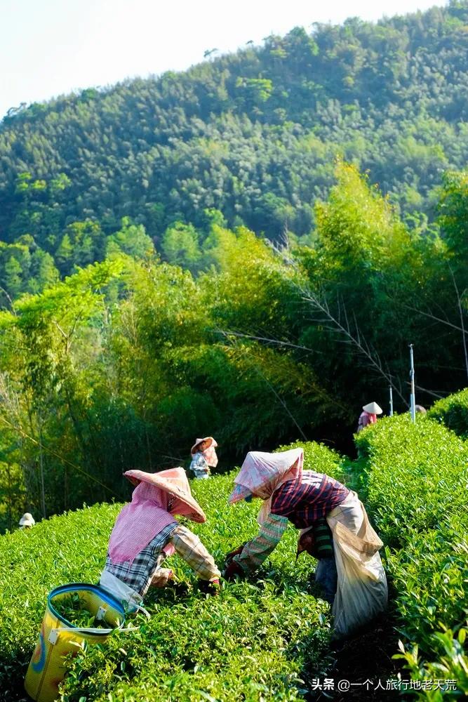赴台旅游暂停两年后,我想带你重新认识中国台湾