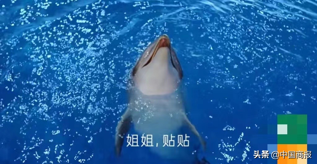 广告误导消费者事件,被广告误导消费者算欺诈吗