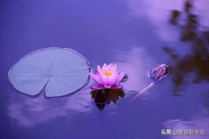 夏至吃什么传统食物详细介绍,夏至吃什么传统食物好