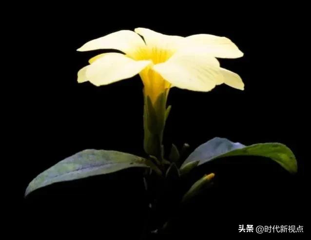 时代新视点‖朋友之间相处，贵在“守度”