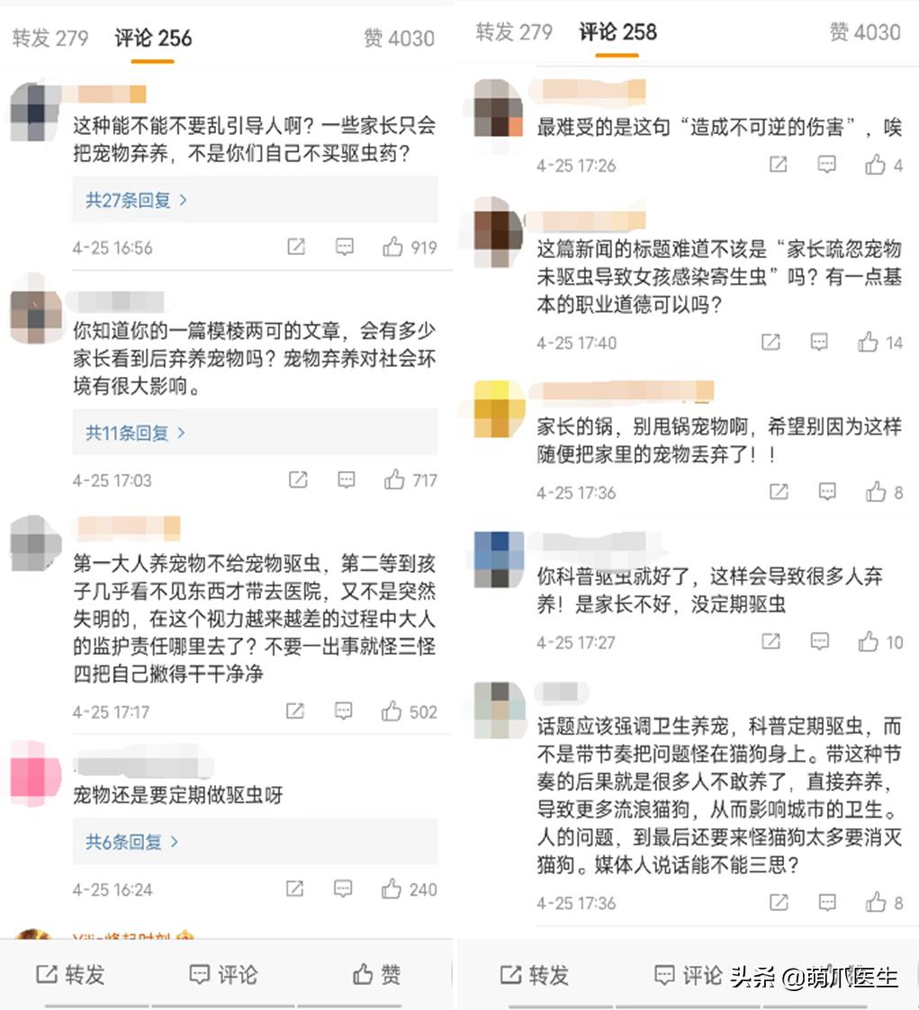 猫吃米线,猫吃米线吗