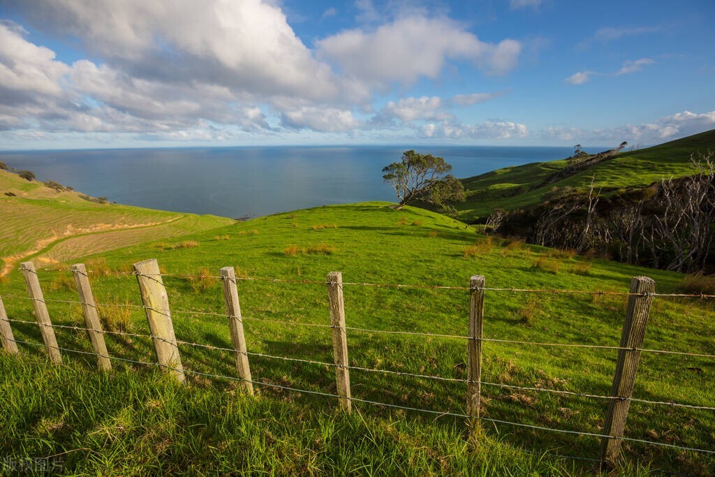 英国签证和申根签证可以同时申请,两个国家签证可以同时去旅游吗