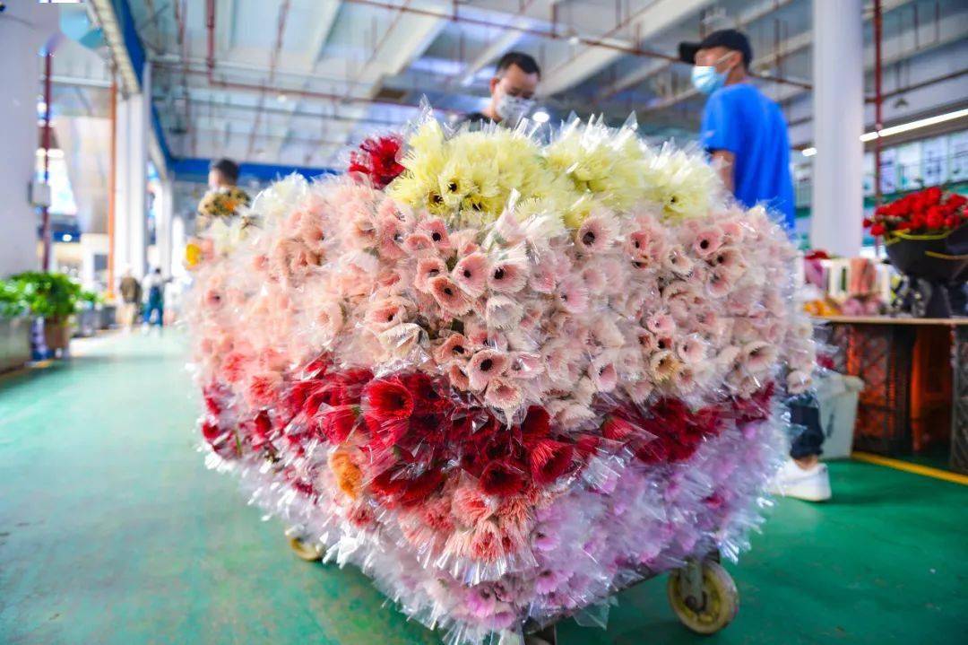 鲜花电商行业发展现状及对策分析,鲜花电商行业市场增长