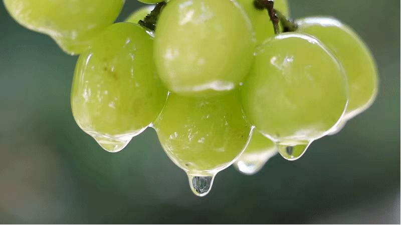 今天囤够了1整月的「ARTEASG」