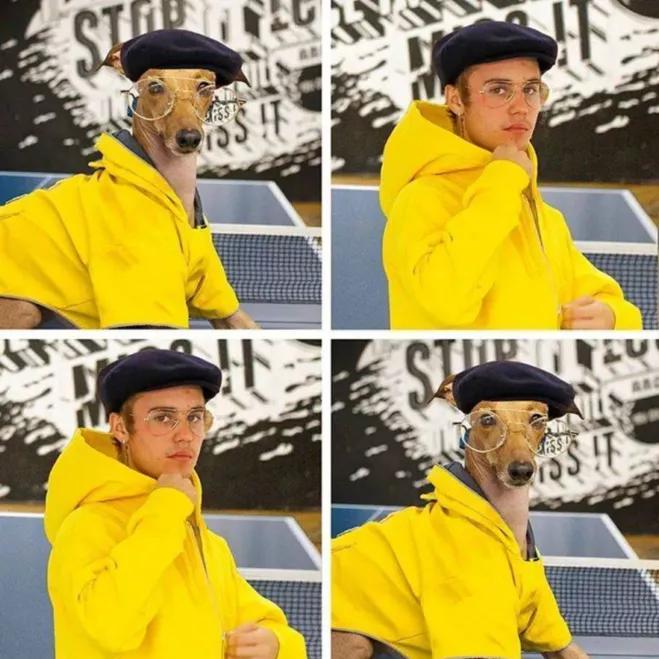 一只被抛弃的小狗逆袭变身超狗,一只被逆袭的中国狗狗