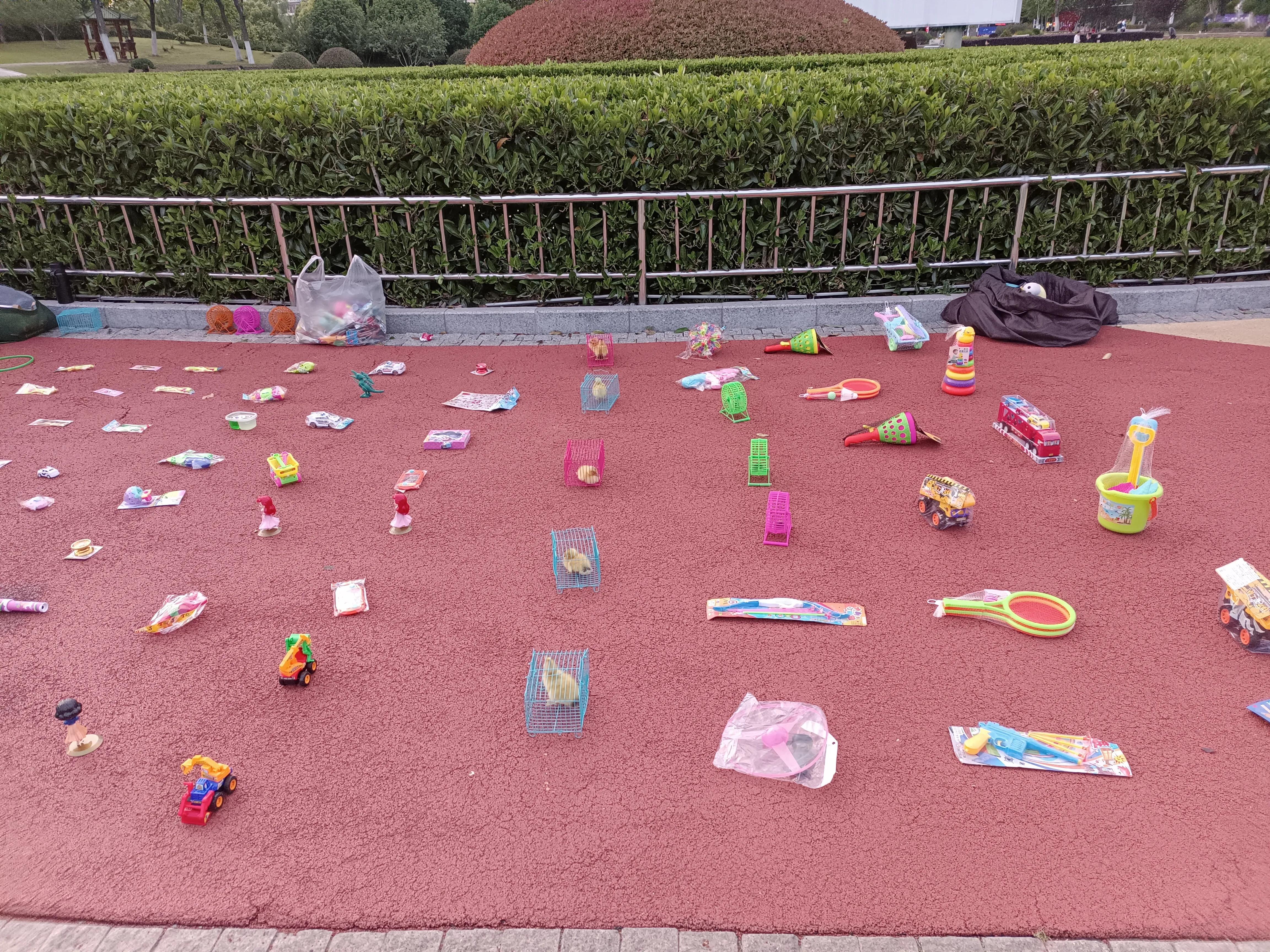 合肥塘西河公园拍鸟,合肥塘西河公园大门