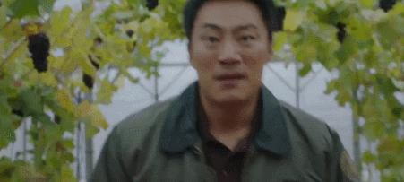 那些压箱底的电视剧,高开高走的韩剧新剧