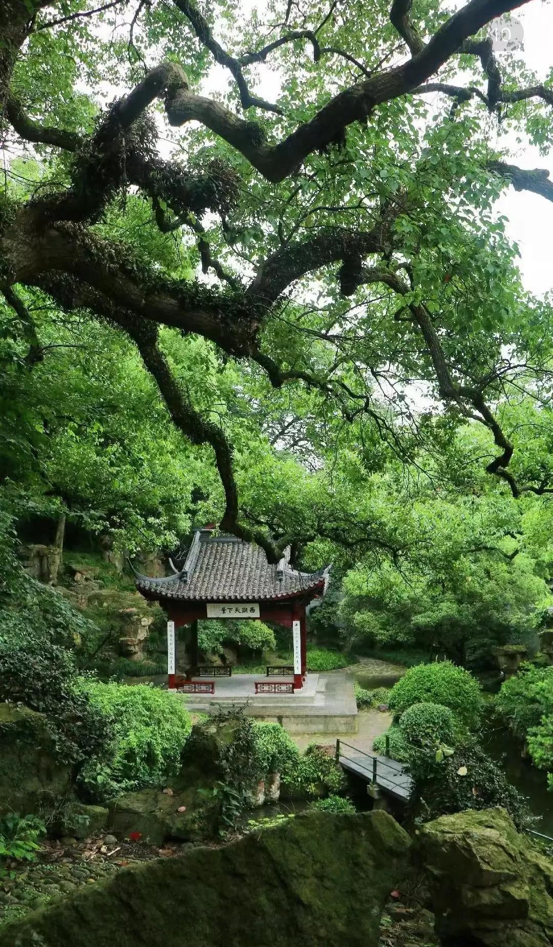 浙江最值得去的十大景区,浙江玉环十大景区排名