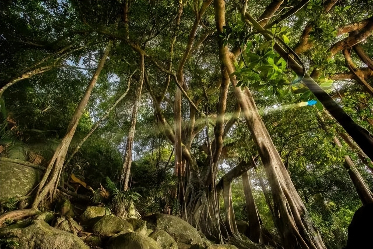 岘港旅游住哪里好,岘港旅游云端漫步