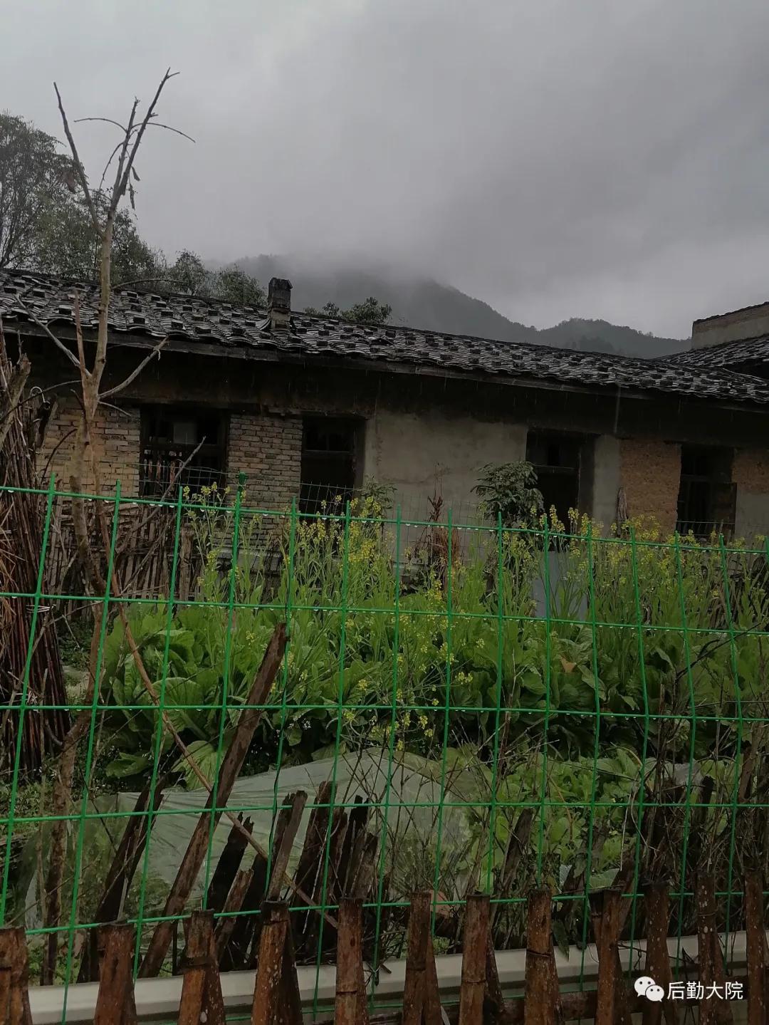 知青点的村支书叫“依派”