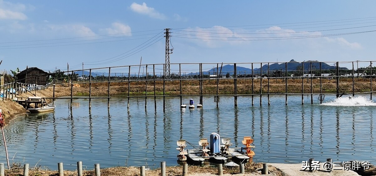 打工血泪史完整版,打工拼搏心酸史