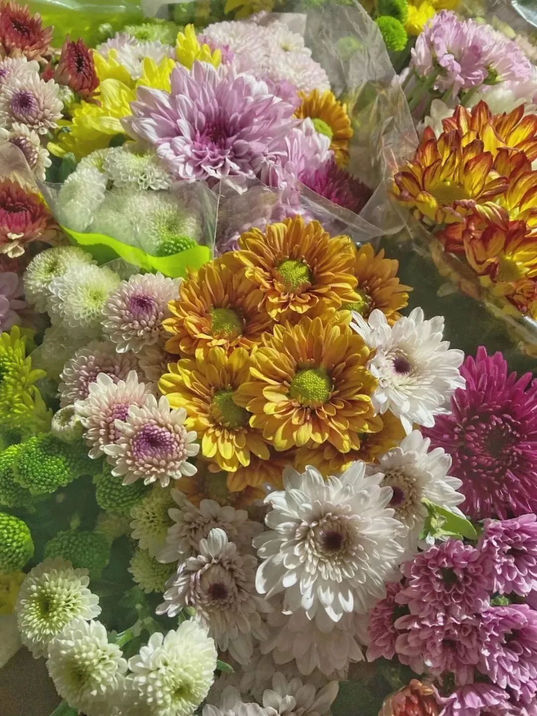 济南春天看花好去处,来济南买金子