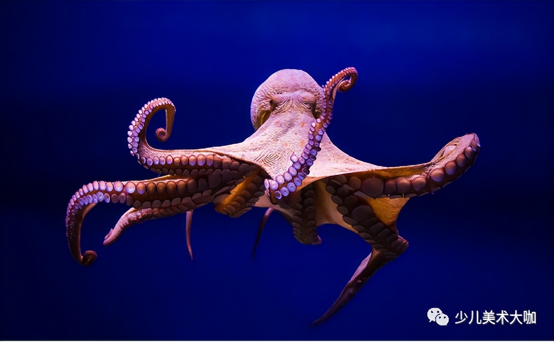 创意美术简单易学,创意美术幼儿