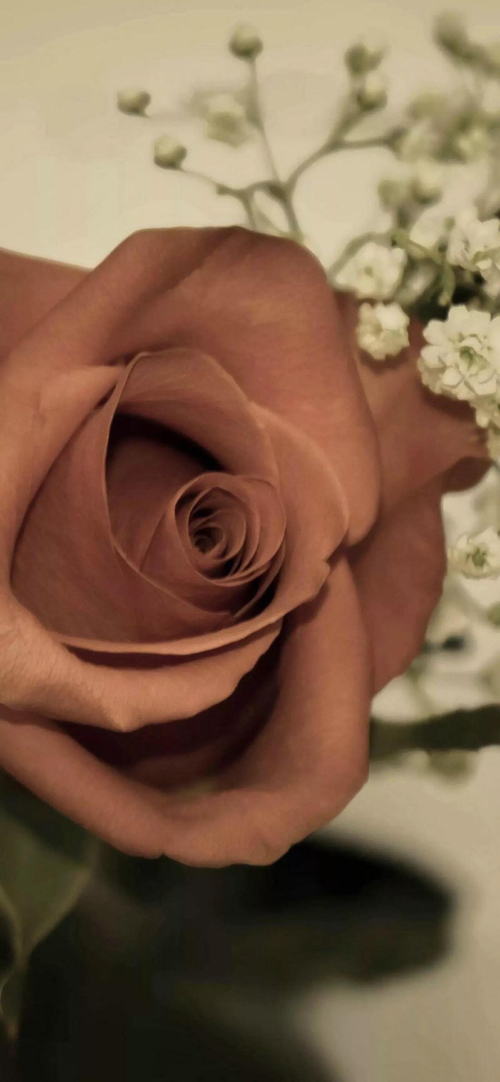 高清壁纸图片全屏干净高级,男士专用黑色美女全屏壁纸