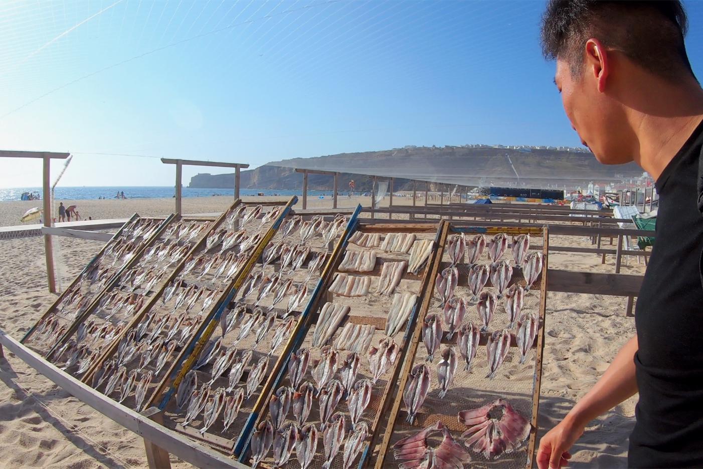 中国小伙的航海日记26,中国小伙子航海日记45