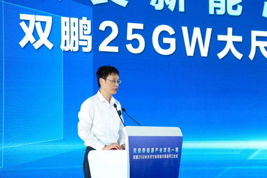 新霖飞投资有限公司,新霖飞光伏发电