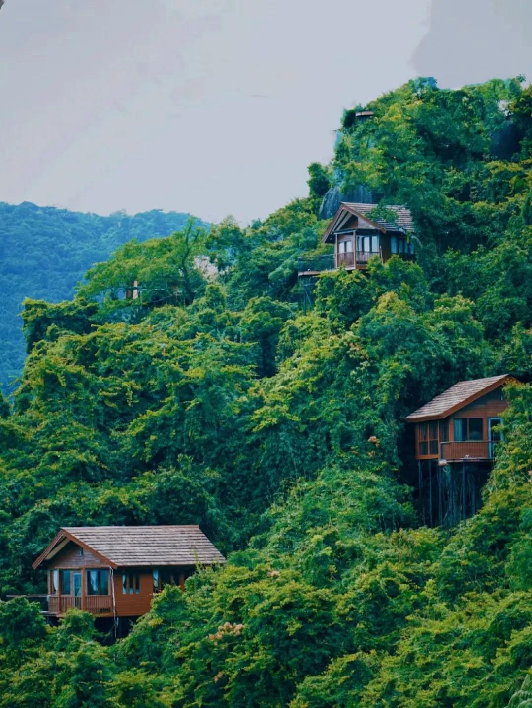 中国最好的度假城市,无数人向往的国度