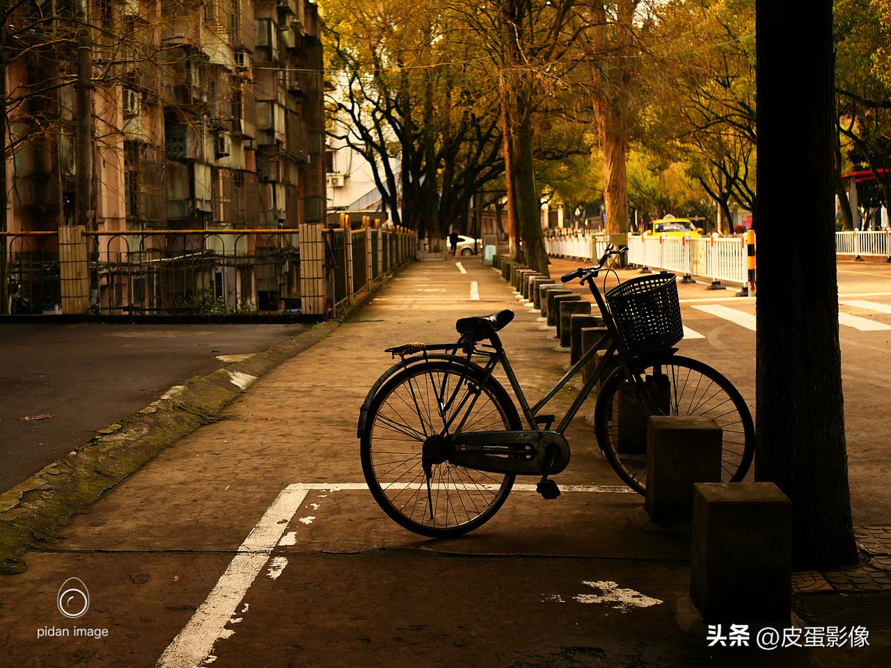 专业摄影师教你怎样才能更清晰,摄影明暗对比照片教学