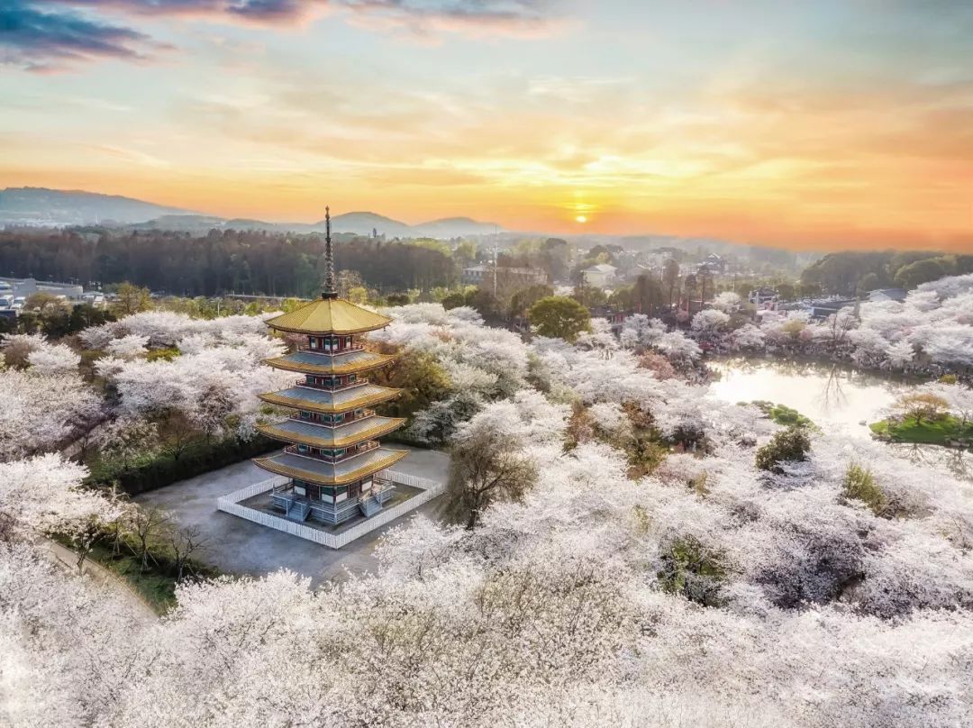 湖北省武汉和省内其他城市的差距,湖北第一大城市和江苏第二大城市