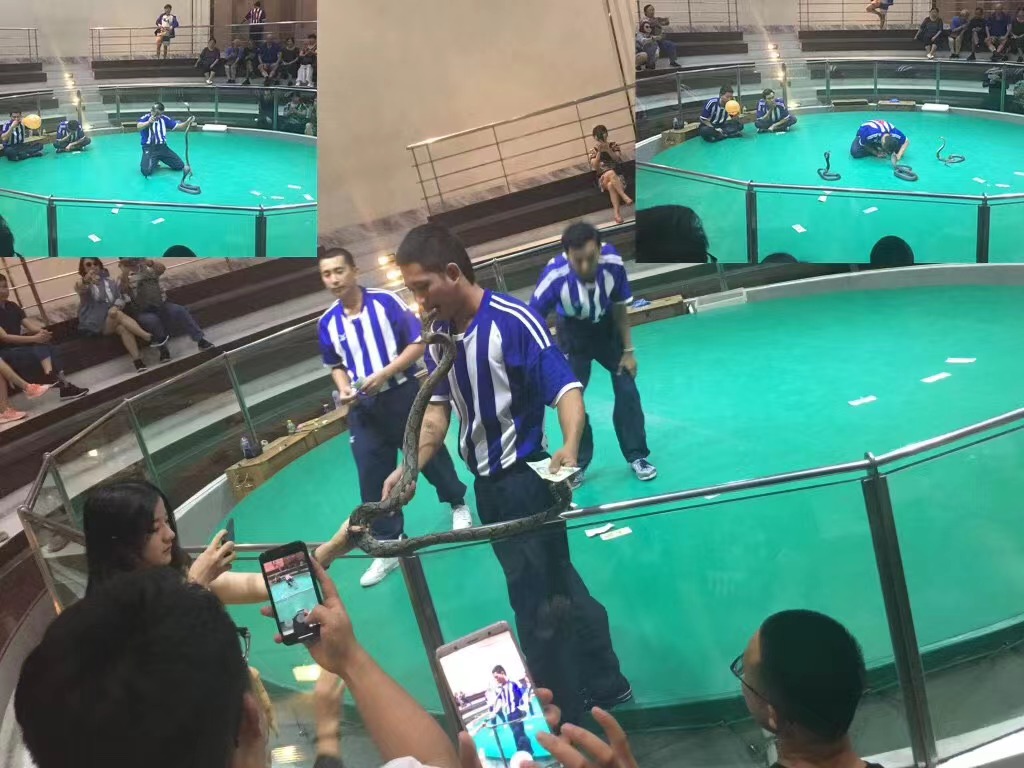 泰国旅游禁忌攻略,泰国旅游注意点什么详细解释