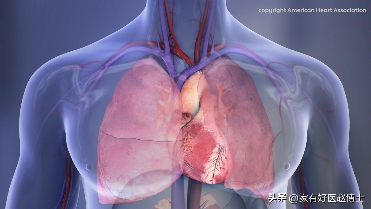 阳后心跳快心慌吃什么药可以缓解,阳后心跳过快吃什么药缓解