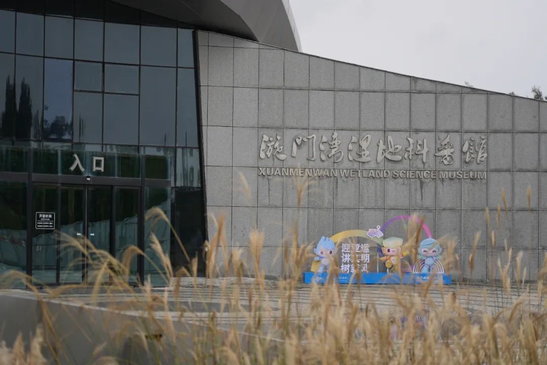 婀垮湴瑙傞笩甯傞泦鐜夌幆,鐜夌幆婀垮湴瑙傞笩