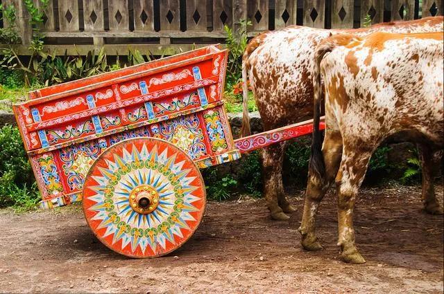 你不知道的国家冷知识玻利维亚篇,你不知道的国家冷知识多米尼加篇