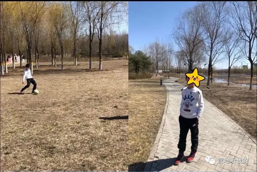 捞小河里的小蝌蚪,上海抓小蝌蚪的公园