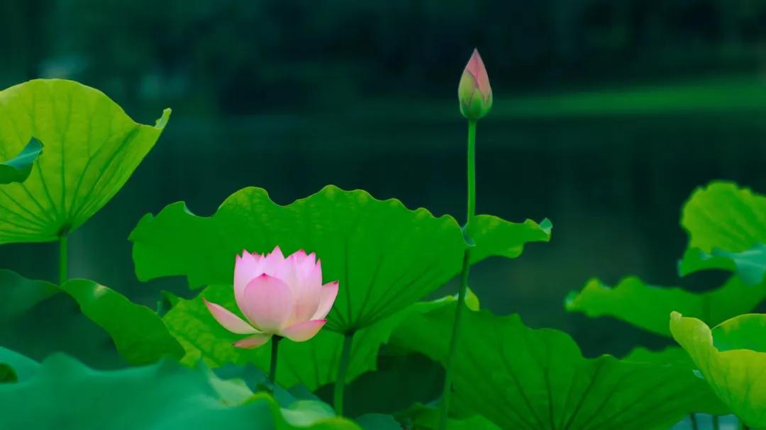 清远漂流一日游,清远清泉湾水上乐园跟团游