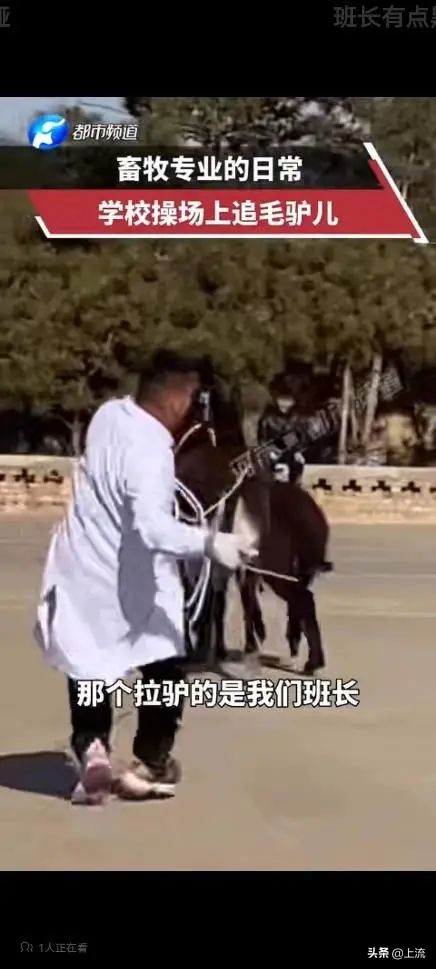 被黑天鹅打得措手不及,学校黑天鹅被学生拿