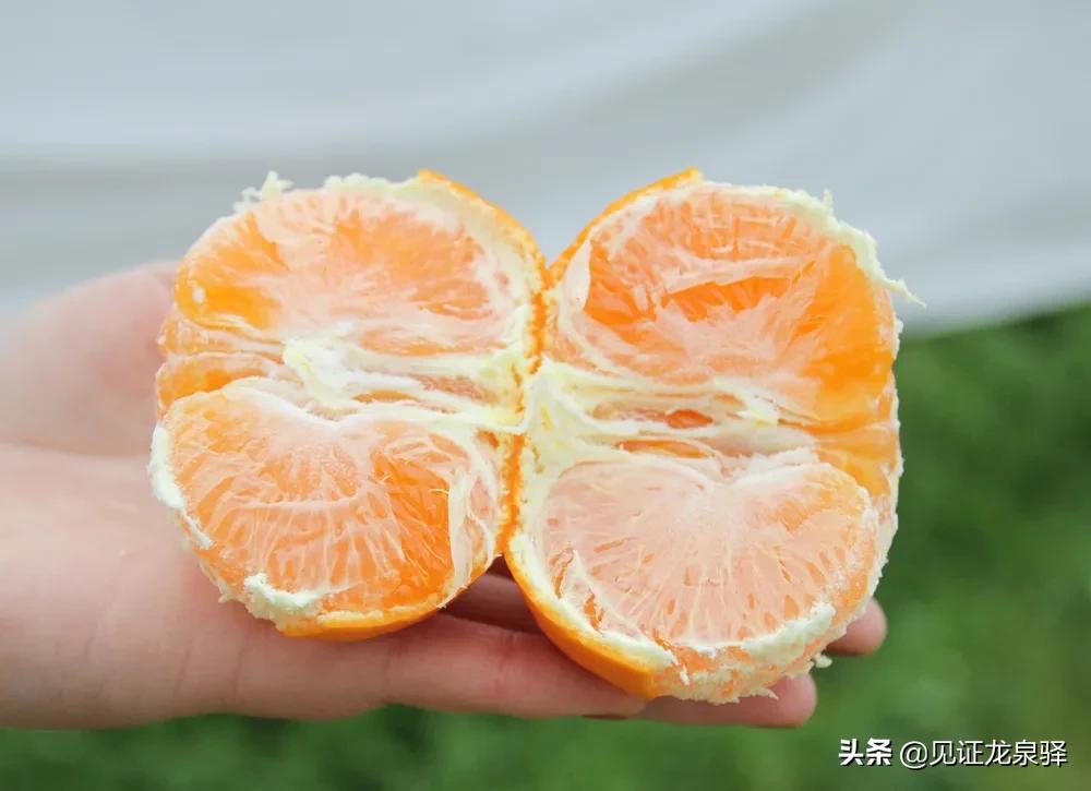 龙泉附近的农庄,龙泉生态农庄