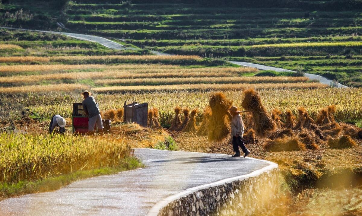 凤凰男才是真正的优秀男人,对待凤凰男的最好方法