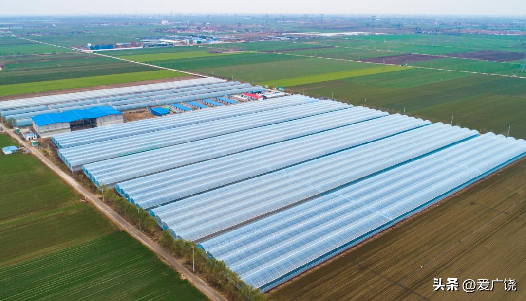 广饶县社会实践,东营广饶社会工作者招考