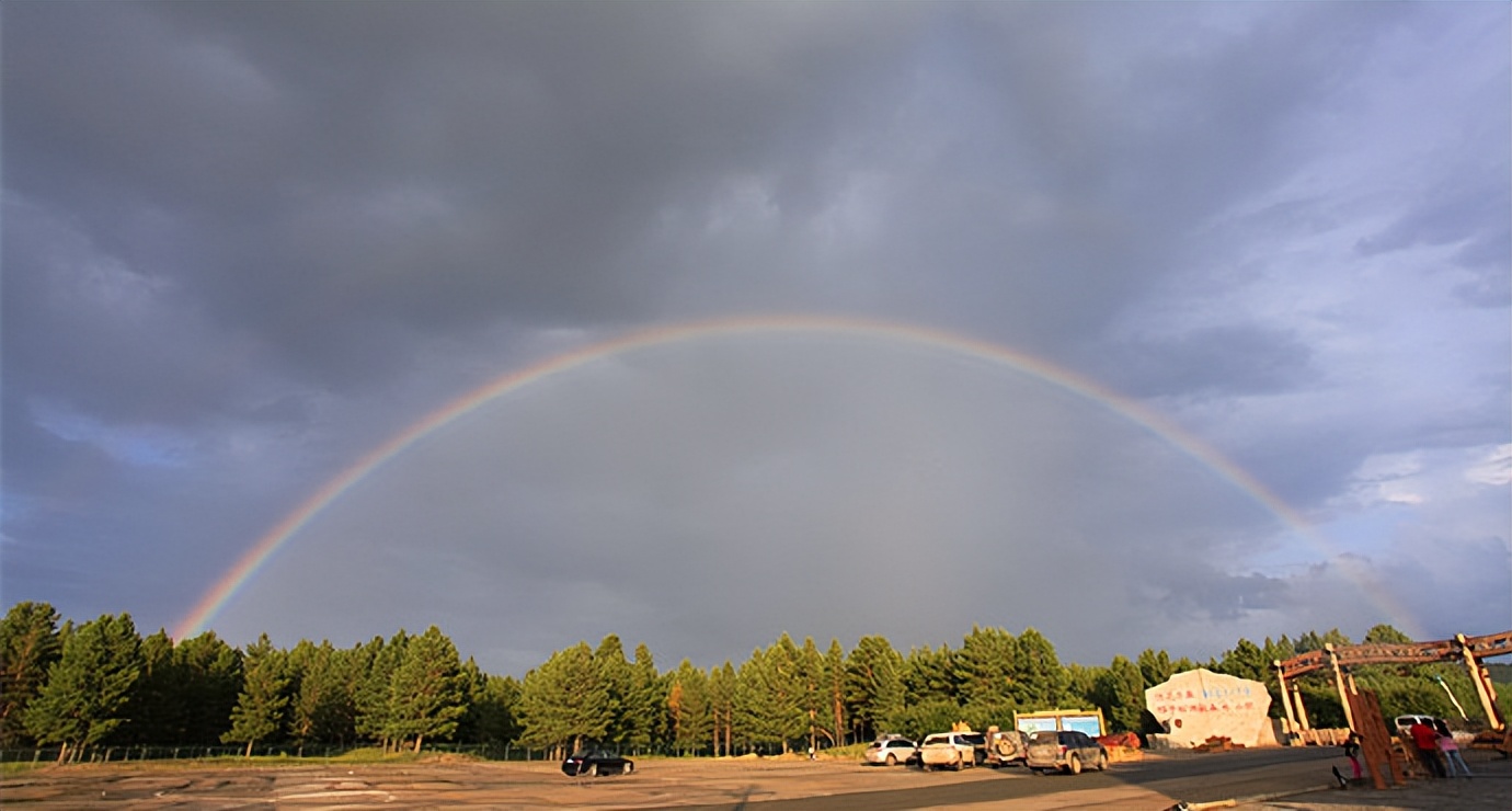 散文|艾平：樟子松随想