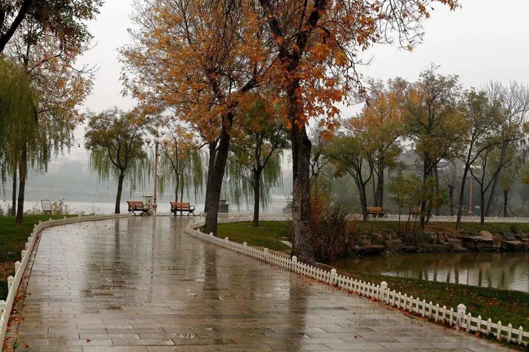 寒蝉原创全集,寒蝉完整版原唱