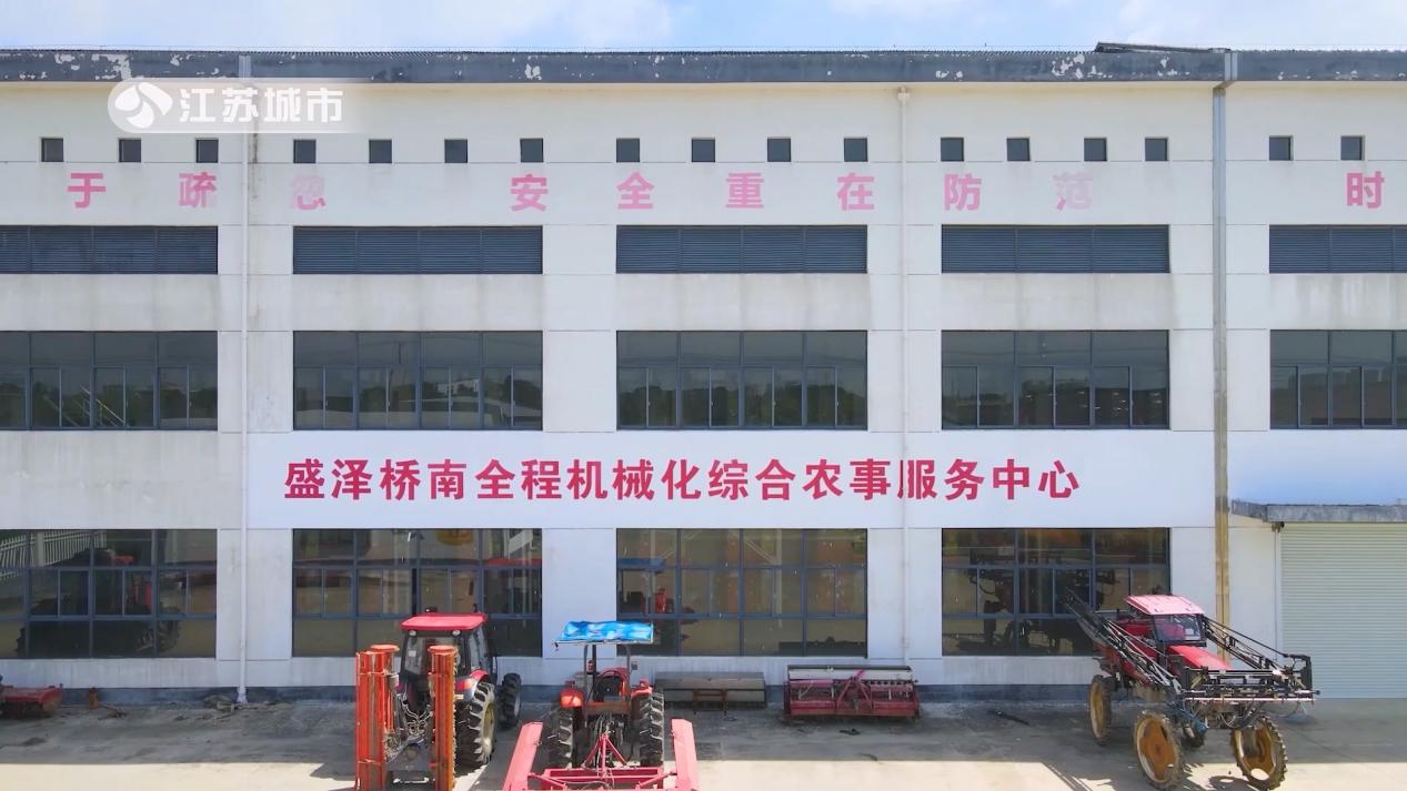 盛泽镇桥南村油菜花,盛泽镇桥南村