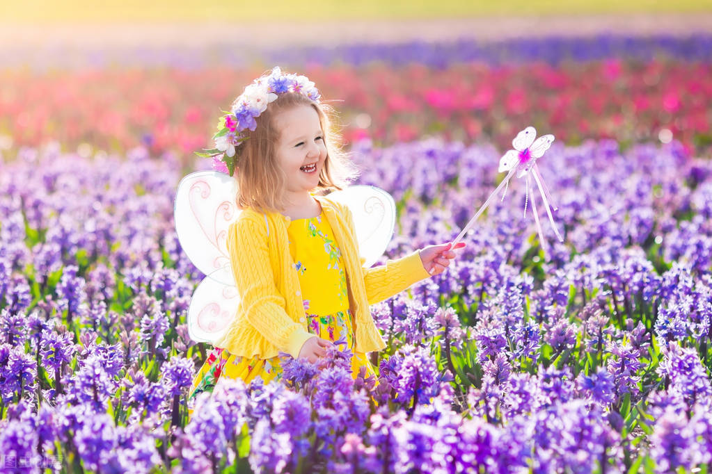 常向银鹰借鸿翼，为有乡音丝路生