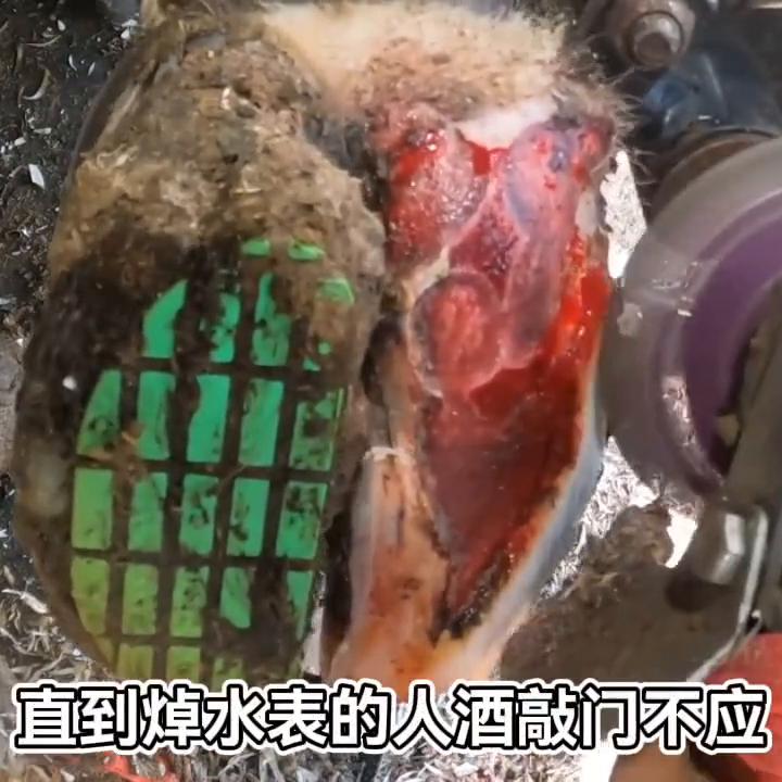 故事的我在职高门口#小说控